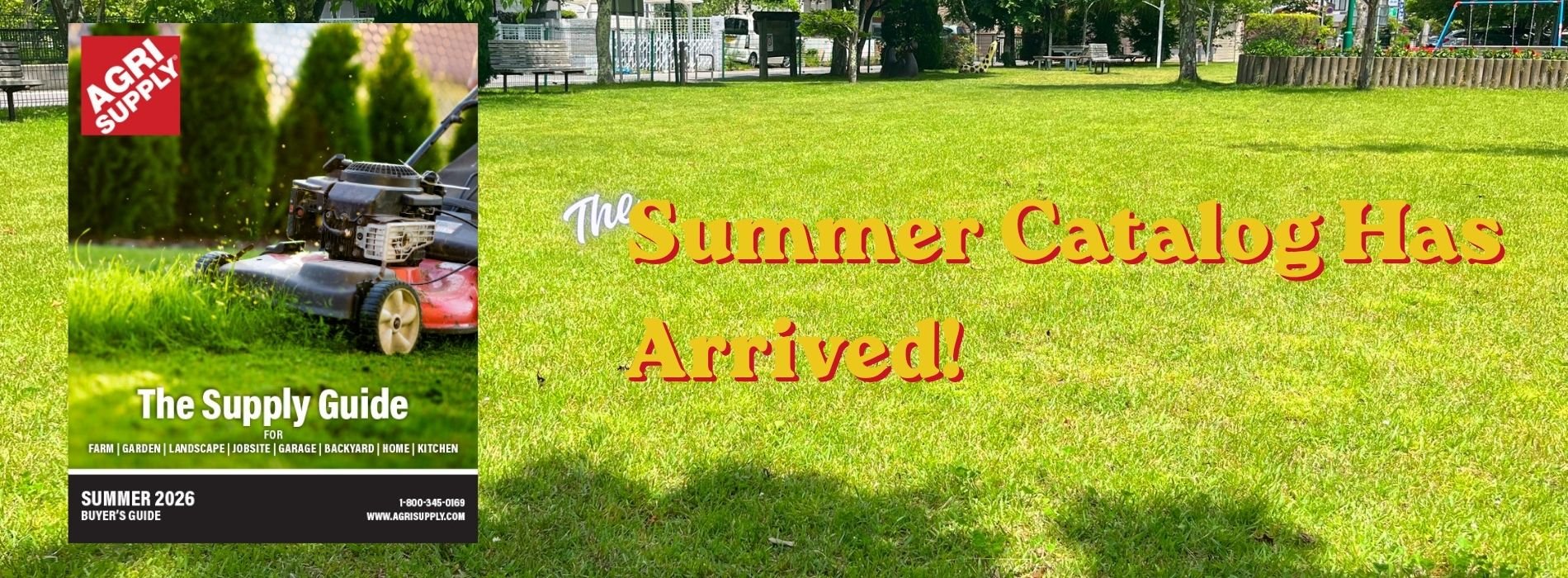 summer buyers guide