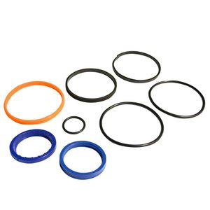Seal Kit, 3 In. Bore, 1-1/2 In. Rodimage
