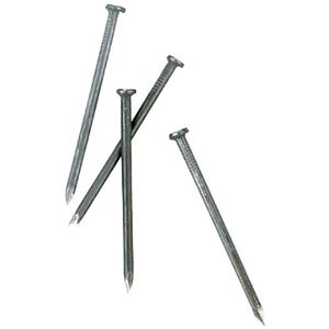 Bright Common Nailimage