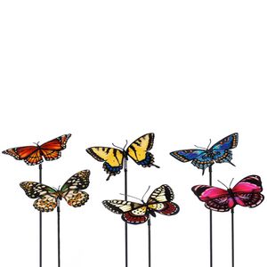 Butterfly Plant Pickimage