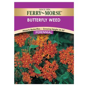 Ferry~Morse&reg; Butterfly Weed Perennial Seedsimage
