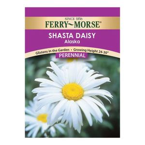 Ferry~Morse&reg; Shasta Daisy Alaska Perennial Seedsimage