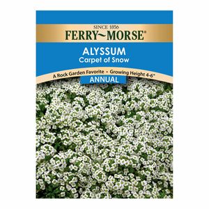 Ferry~Morse&reg; Alyssum Carpet of Snow Annual Seedsimage