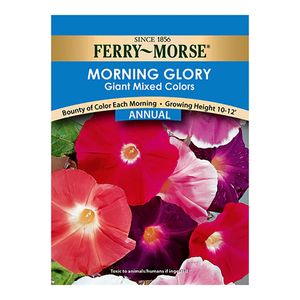 Ferry~Morse&reg; Morning Glory Giant Mixed Colors Seedsimage