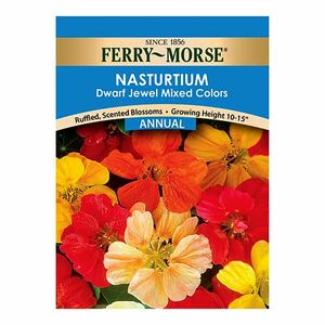 Ferry~Morse&reg; Nasturtium Jewel Mixed Colors Annual Seedsimage