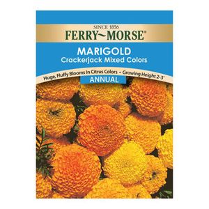 Ferry~Morse&reg; Marigold Crackerjack Mixed Colors Annual Seedsimage