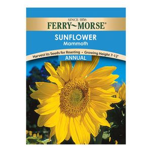 Ferry~Morse&reg; Sunflower Mammoth Annual Seedsimage