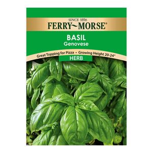 Ferry~Morse&reg; Herb Basil Genovese Seedsimage