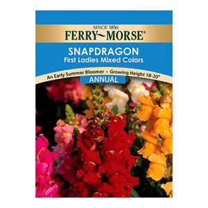 Ferry~Morse&reg; First Ladies Snapdragon Flower Seedsimage
