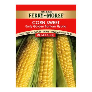Ferry~Morse&reg; Sweet Corn Early Golden Bantam Vegetable Seedsimage