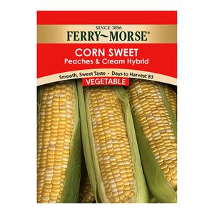 Ferry~Morse&reg; Sweet Corn Peaches & Cream Vegetable Seedsimage