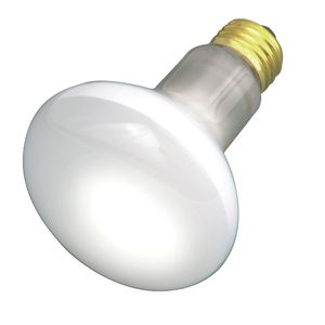 Frosted Reflector Bulb 30Wimage