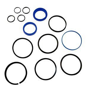 Seal Kit 2 Bore 1.125 Rodimage