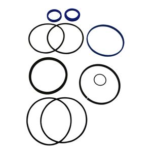 Seal Kit 3.5 Bore 1.25 Rodimage