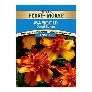 Ferry~Morse&reg; Marigold Dwarf Bolero Annual Seedsimage