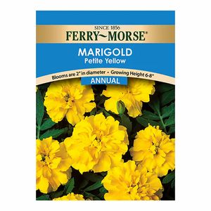 Ferry~Morse&reg; Marigold Petite Yellow Annual Seedsimage