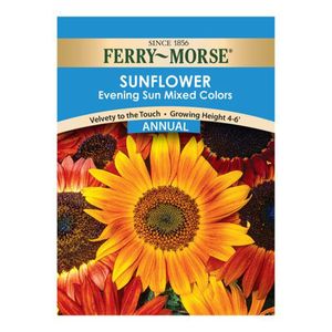 Ferry~Morse&reg; Sunflower Evening Sun Mixed Colors Annual Seedsimage