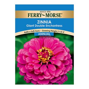 Ferry~Morse&reg; Zinnia Giant Double Enchantress Annual Seedsimage