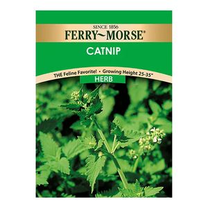 Ferry~Morse&reg; Herb Catnip Seedsimage
