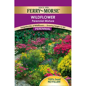 Ferry~Morse&reg; Blanket Flower Gaillardia Aristata Perennial Seedsimage