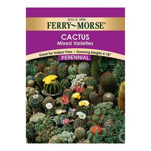 Ferry~Morse&reg; Cactus Mixed Varieties Perennial Seedsimage