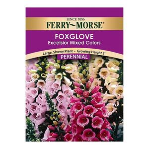 Ferry~Morse&reg; Foxglove Mixed Colors  Perennial Seedsimage