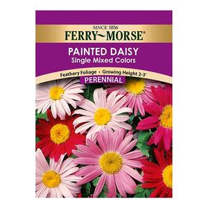 Ferry~Morse&reg; Painted Daisy Single Mixed Colors Perennial Seedsimage