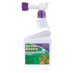 Sedge Ender&reg; RTS - 16ozimage