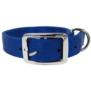 1/2 X 12 Nylon Collar Blueimage