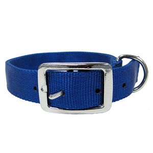 1 X 20 Dbl Nylon Collar Blueimage