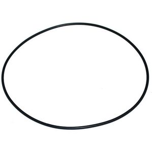 O-Ring for ML125 Pumpimage