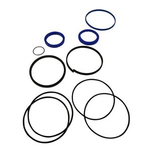 Seal Kit 4 Bore 2 Rodimage