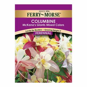 Ferry~Morse&reg; Columbine MckanaS Giants Mixed Colors Flower Perennial Seedsimage