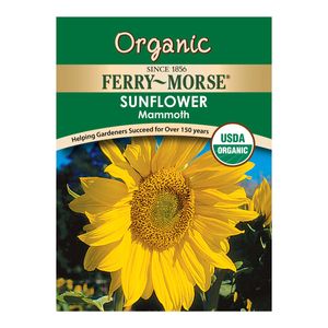 Ferry~Morse&reg; Organic Sunflower Mammoth Annual Flower Seedsimage
