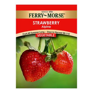 Ferry~Morse&reg; Strawberry Alpine Vegetable Seedsimage
