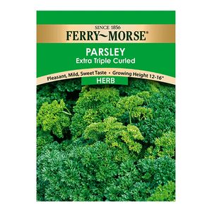 Ferry~Morse&reg; Parsley Extra Triple Curled Herb Seedsimage