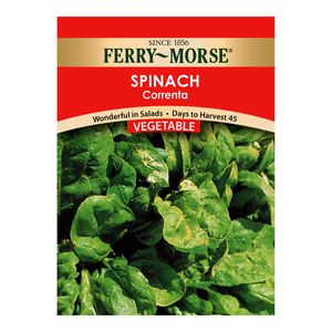 Ferry~Morse&reg; Spinach Correnta Vegetable Seedsimage