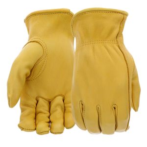 Women M Deerskin Leather Work Glovesimage