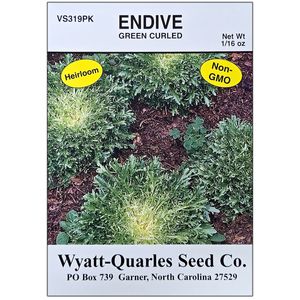 endive green curled seed 1/16 ozimage