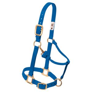 Blue Adjustable Chin and Throat Snap Halter, 1, Small Horseimage