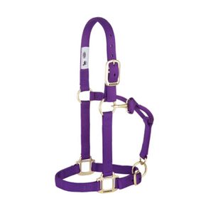 Adj. Chin and Throat Snap Halter 1 In. Large Purpleimage
