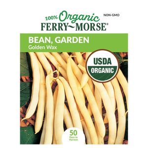 Organic Golden Wax Bean Seedsimage