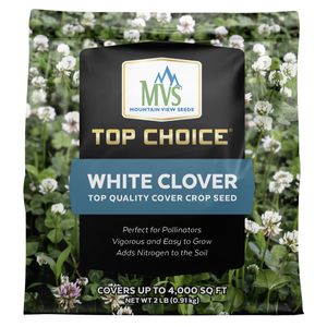 Mountain View Top Choice White Cloverimage