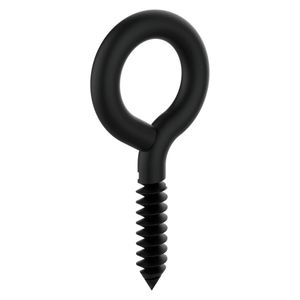 National Hardware 3/16 in. x 3 in. Lag Screw Eyeimage