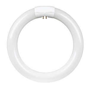 Feit Electric 8 in. 22 W. T9 4-Pin Cool White Circline Fluorescent Bulbimage