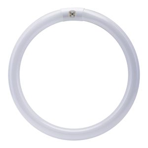 Feit Electric 12 in. 32 W T9 Cool White Circular Fluorescent Light Bulbimage