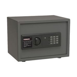 ProSource Digital Electronic Safeimage