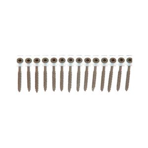 Senco #8 x 2-1/2 in. Collated Deck Screwimage