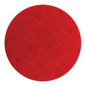Diablo 6 in. 100 Grit SandNet Sanding Disc (10-Pack)image