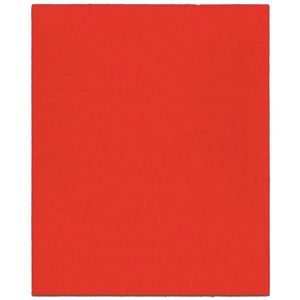 Diablo 4-1/2 in. x 5-1/2 in. 100 Grit Palm Sander Sheets, 6-Packimage